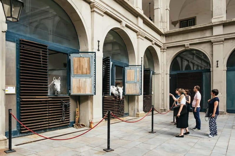 Vienna: Spanish Riding School Guided Architectural Tour - Why the Spanish Riding School is worth seeing beyond a performance